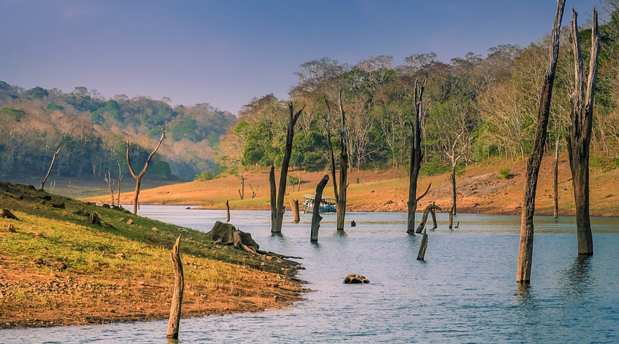 Thekkady, Kerala