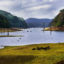 Periyar National Park, Thekkady, Kerala