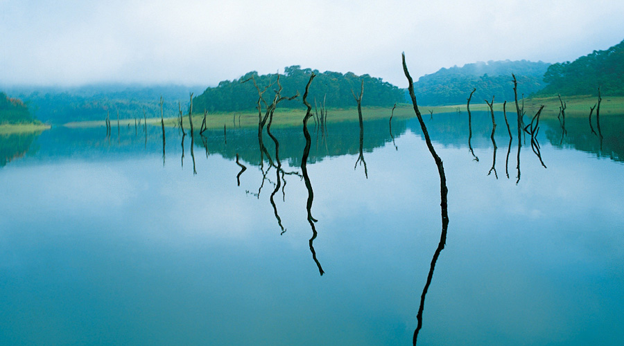 Thekkady, Kerala