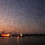 Lakhota Lake, Jamnagar, Gujarat, India