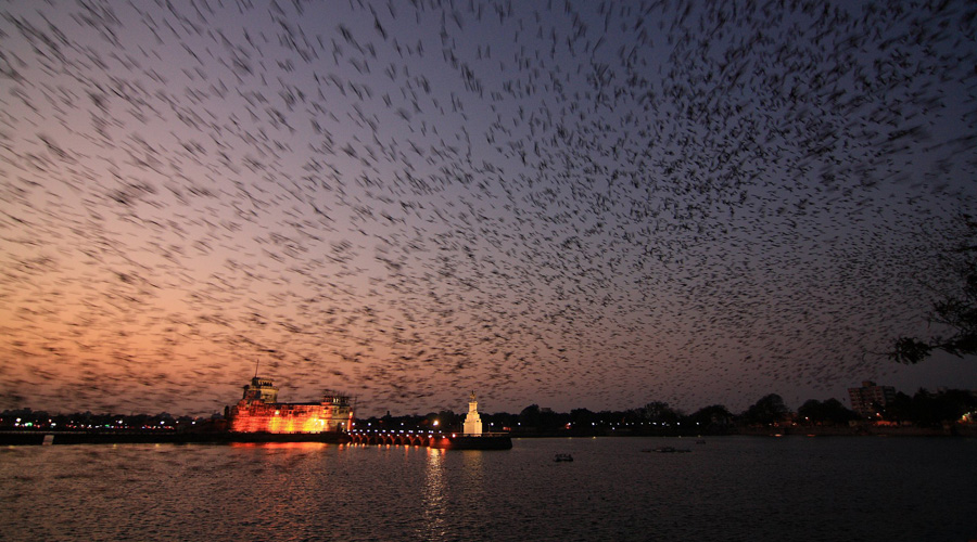 Lakhota Lake, Jamnagar, Gujarat, India