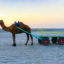 Rann Utsav, Kutch, Bhuj, Gujarat, India