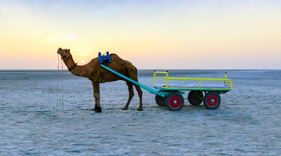 Rann Utsav, Kutch, Bhuj, Gujarat, India