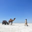 Rann Utsav, Kutch, Bhuj, Gujarat, India