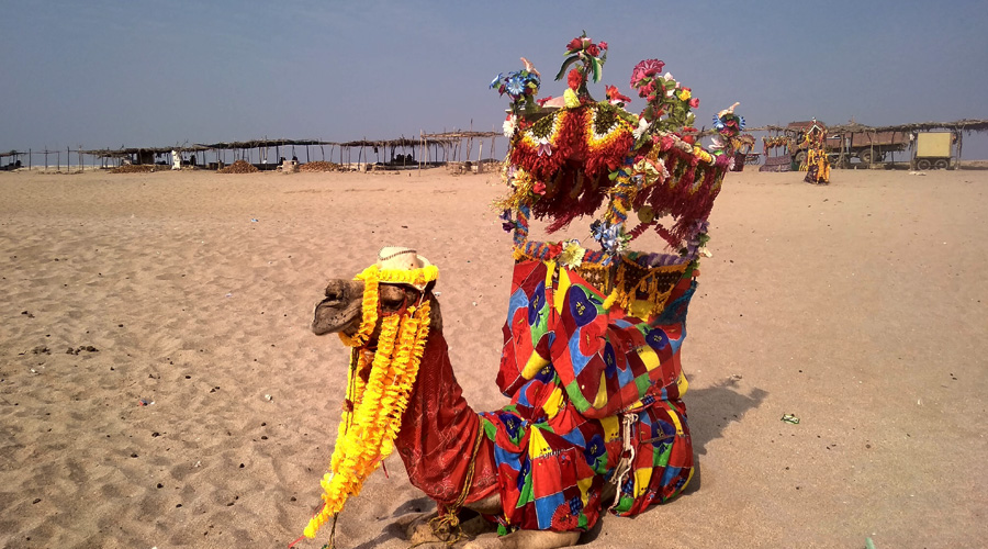 Somnath, Gujarat, India0