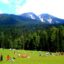 Betaab Valley, Baisaran Valley, Pahalgam, Jammu and Kashmir, India