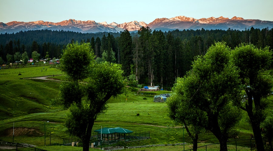 Betaab Valley, Baisaran Valley, Pahalgam, Jammu and Kashmir, India