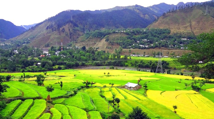 Gulmarg, Jammu and Kashmir, India