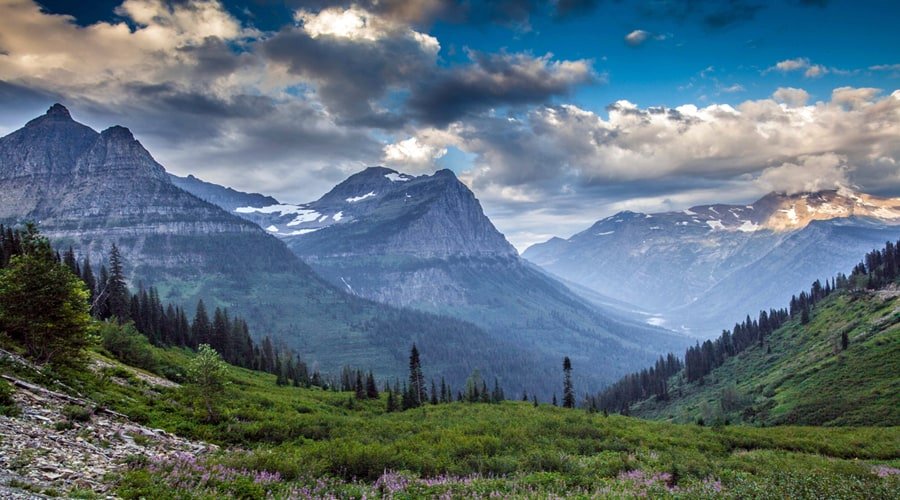 Indira Gandhi Memorial Tulip Garden, Srinagar, Jammu and Kashmir, India