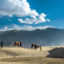 Nubra Valley, Ladakh, Jammu and Kashmir, India