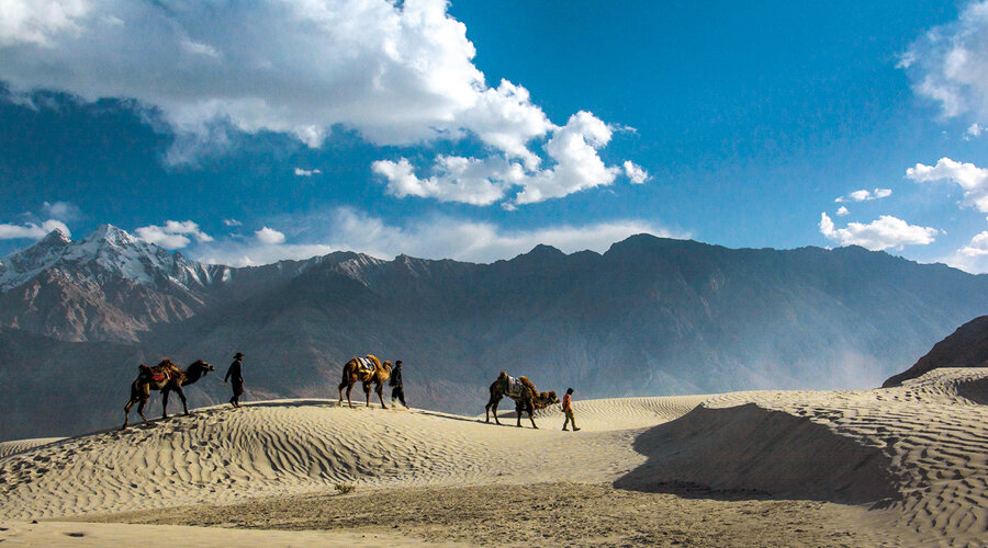 Nubra Valley, Ladakh, Jammu and Kashmir, India