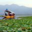 Dal Lake, Srinagar, Jammu and Kashmir, India