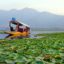 Dal Lake, Srinagar, Jammu and Kashmir, India