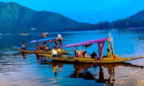 Shikara Ride, Dal Lake, Srinagar, Jammu and Kashmir, India
