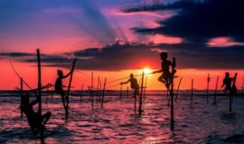 Mirrissa, Bentota Beach, Sri Lanka, Asia