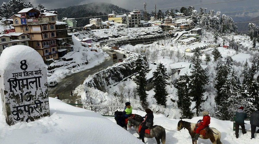 Kufri, Shimla, Himachal Pradesh, India