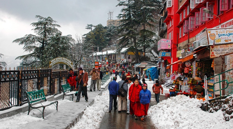 Lakkar Bazar, Shimla, Himachal Pradesh, India