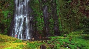 Nuranang Falls, Cona, Shannan, Tawang, Arunachal Pradesh, North East, India