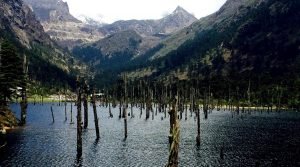 Sangestar Tso Lake (Madhuri Lake), Bum La Pass, Tawang, Arunachal Pradesh, India