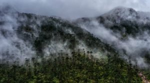 Sangti Valley, Dirang, Arunachal Pradesh, North East, India