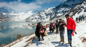 Tsomgo Lake or Changu Lake, East Sikkim, Sikkim, India