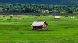 Ziro Valley, Lower Subansiri, Arunachal Pradesh, North East, India
