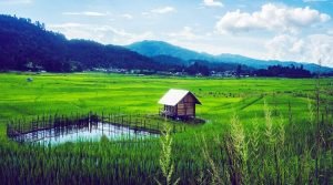 Ziro Valley, Lower Subansiri, Arunachal Pradesh, North East, India