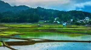 Ziro Valley, Lower Subansiri, Arunachal Pradesh, North East, India