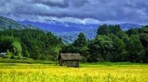 Ziro Valley, Lower Subansiri, Arunachal Pradesh, North East, India