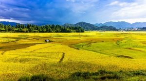 Ziro Valley, Lower Subansiri, Arunachal Pradesh, North East, India