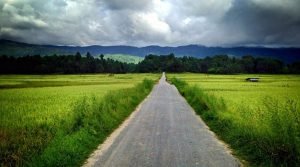 Ziro Valley, Lower Subansiri, Arunachal Pradesh, North East, India