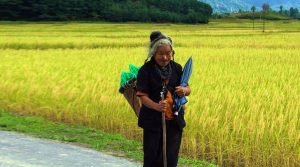 Ziro Valley, Lower Subansiri, Arunachal Pradesh, North East, India