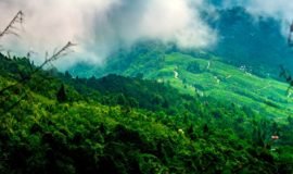 Darjeeling, North East, India