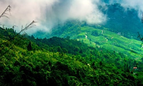 Darjeeling, North East, India