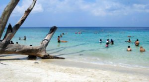 Elephant Beach, Havelock Island (Swaraj Dweep), Andaman and Nicobar Islands, India, Asia