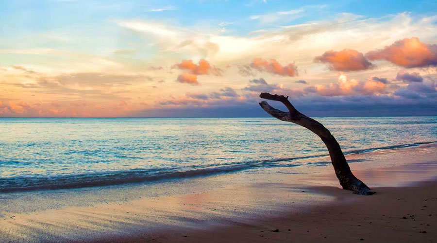 Elephant Beach, Havelock Island (Swaraj Dweep), Andaman and Nicobar Islands, India, Asia