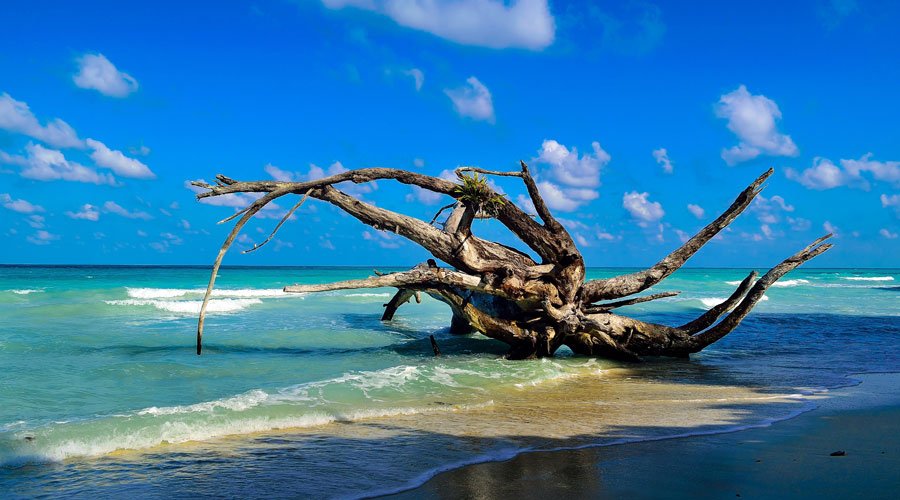 Kala Pathar Beach, Havelock Island (Swaraj Dweep), Andaman and Nicobar Islands, India, Asia