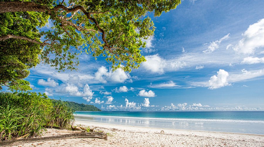 Radhanagar Beach, Havelock Island (Swaraj Dweep), Andaman and Nicobar Islands, India, Asia