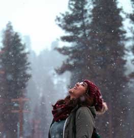 EWS Winter -Testimonials