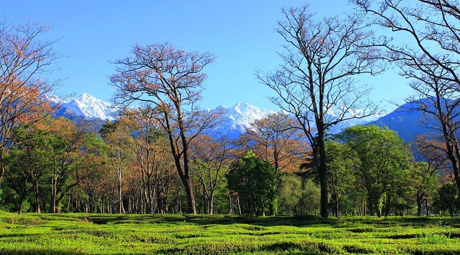 Vaishno Devi Yatra, Katra, Jammu and Kashmir, India