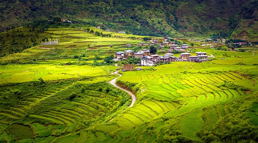Paro Valley, Paro, Bhutan, Asia