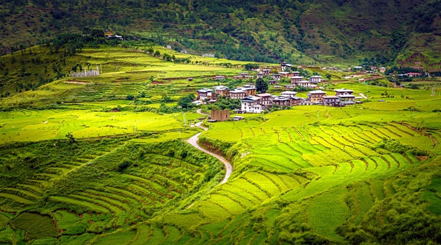 Paro Valley, Paro, Bhutan, Asia