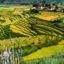 Punakha, Bhutan, Asia