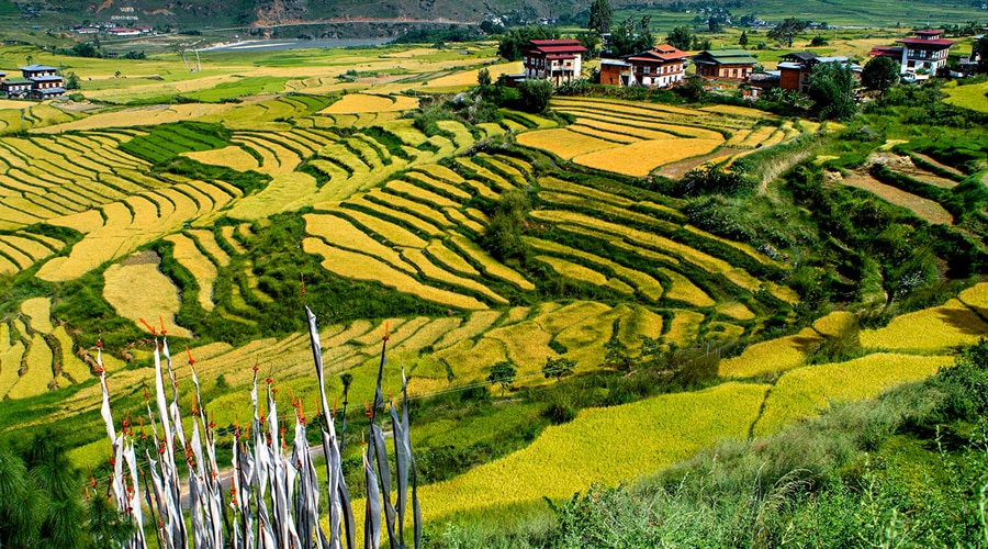 Punakha, Bhutan, Asia