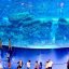 Dubai Aquarium & Underwater Zoo, Dubai Mall, Dubai, United Arab Emirates, Middle East