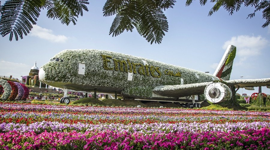 Dubai Miracle Garden, Dubai, United Arab Emirates, Middle East