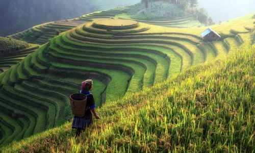Vietnam, Asia