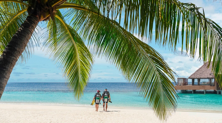 Diving @ W Maldives by Marriott International, Fesdu Island, Maldives, South Asia