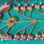 W Maldives by Marriott International, Fesdu Island, Maldives, South Asia