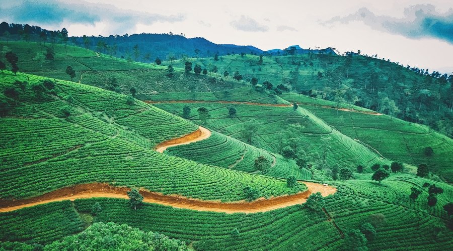 Nuwara Eliya, Sri Lanka, Asia